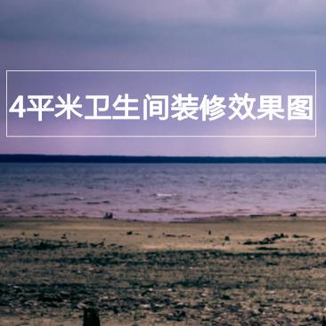 4平米卫生间装修效果图，4平卫生间装修省钱上档次