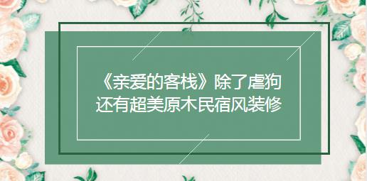 《亲爱的客栈》除了虐狗，还有超美原木民宿风装修